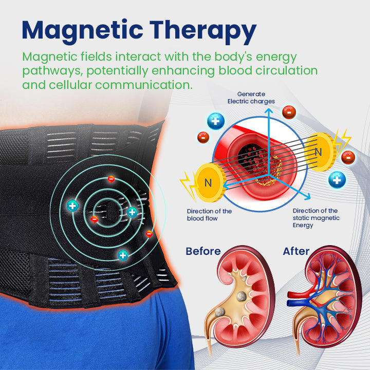 Ceoerty™ KidneyGuard Acupressure Therapy Belt